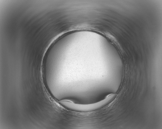 X0000053161288200508081427