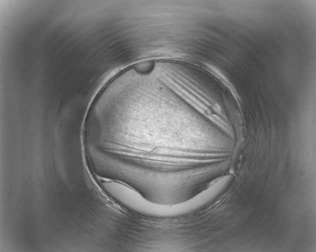 X0000053161291200508081427