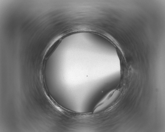 X0000053161293200508081427