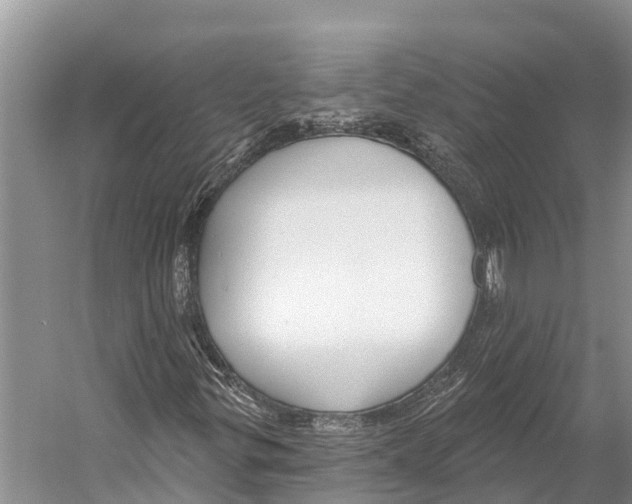 X0000053161299200508081426