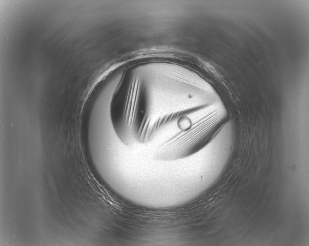 X0000053161312200508081426