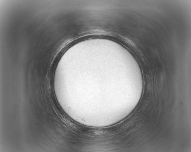 X0000053161318200508081426
