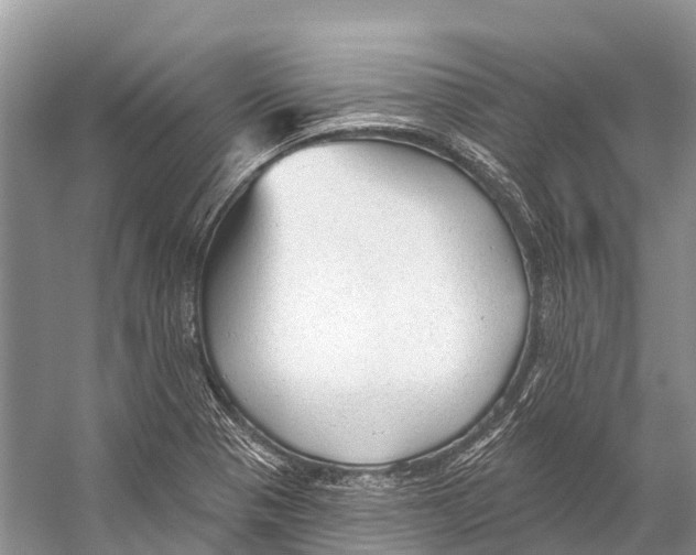 X0000053161321200508081426