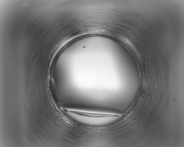 X0000053161324200508081426