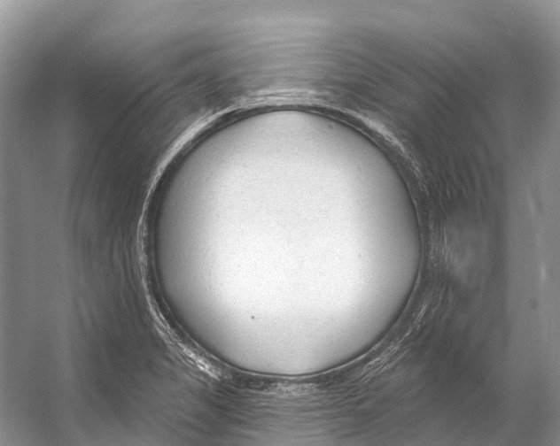 X0000053161325200508081426
