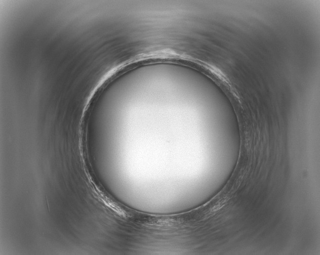 X0000053161326200508081426