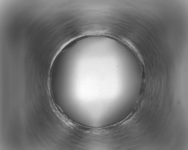 X0000053161340200508081427