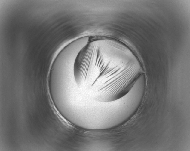 X0000053161344200508081427