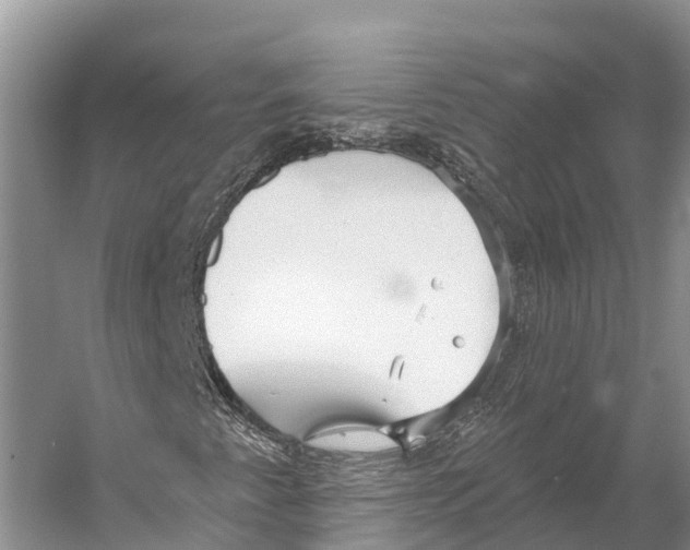 X0000053161345200508081426