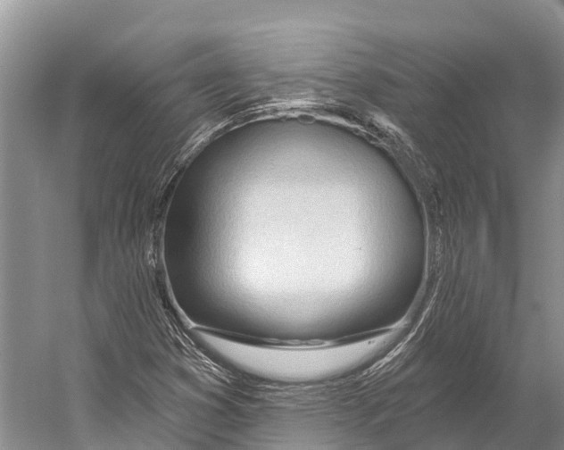 X0000053161353200508081426