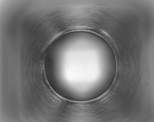 X0000053161361200508081426