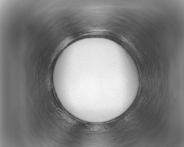 X0000053161362200508081426