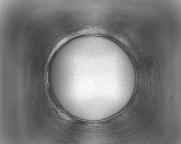 X0000053161366200508081426