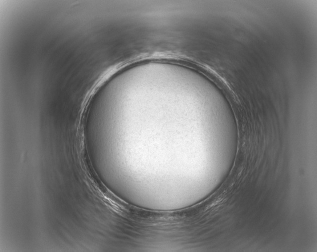 X0000053161367200508081425