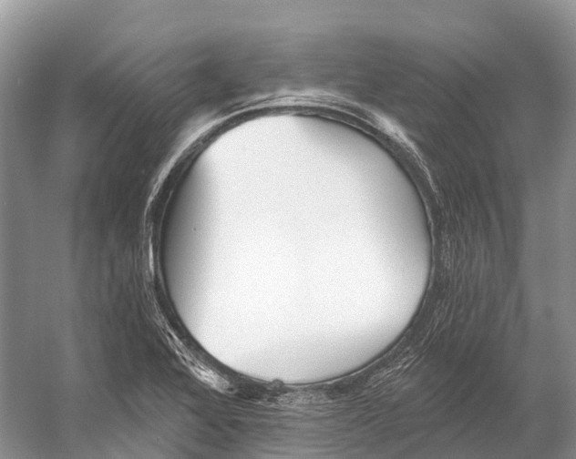 X0000053161368200508081425