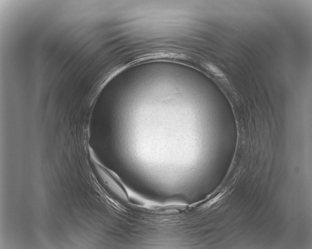 X0000053161369200508081425