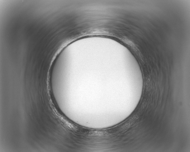 X0000053161374200508081425