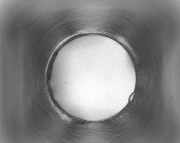 X0000053161380200508081425