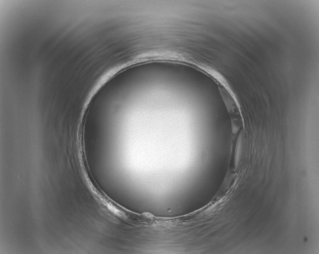 X0000053161389200508081425