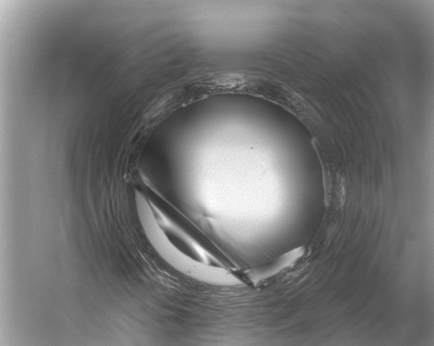 X0000053161394200508081424