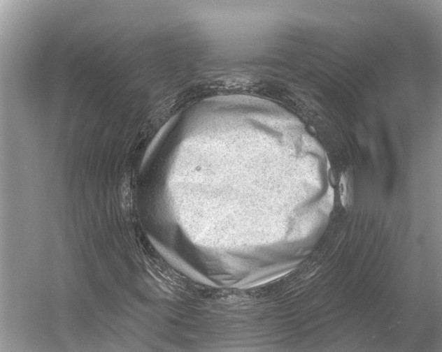 X0000053161395200508081424