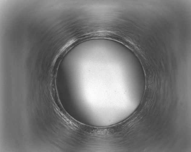 X0000053161410200508081425