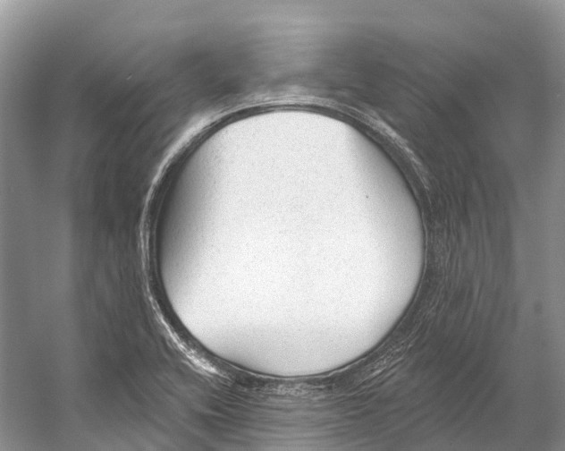 X0000053161416200508081425