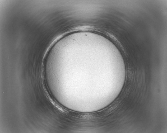 X0000053161421200508081425