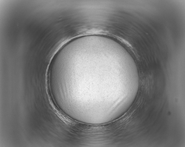X0000053161423200508081425