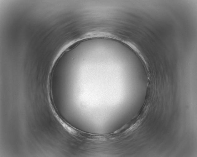 X0000053161438200508081425