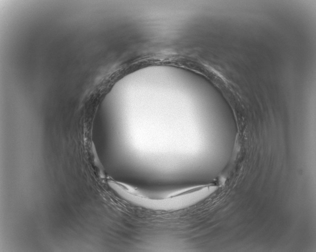 X0000053161447200508081424