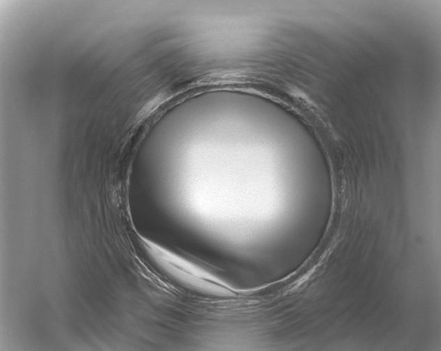 X0000053161449200508081424