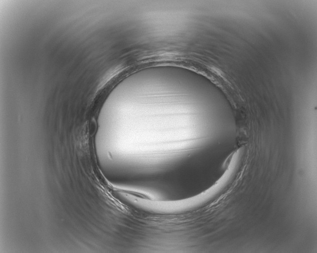 X0000053161450200508081424