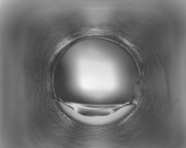 X0000053161453200508081424