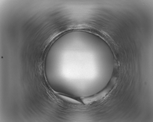 X0000053161457200508081424