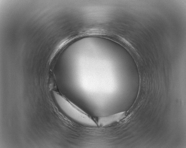X0000053161461200508081424