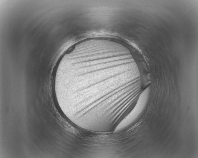 X0000053161463200508081424