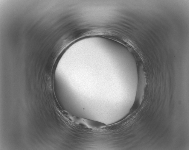 X0000053161465200508081424