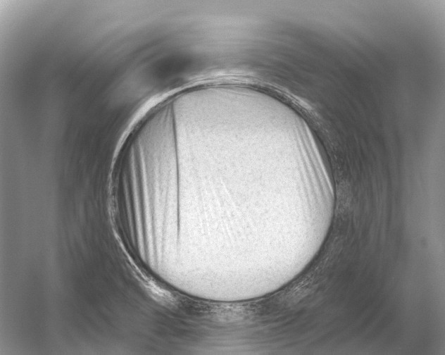 X0000053161470200508081424