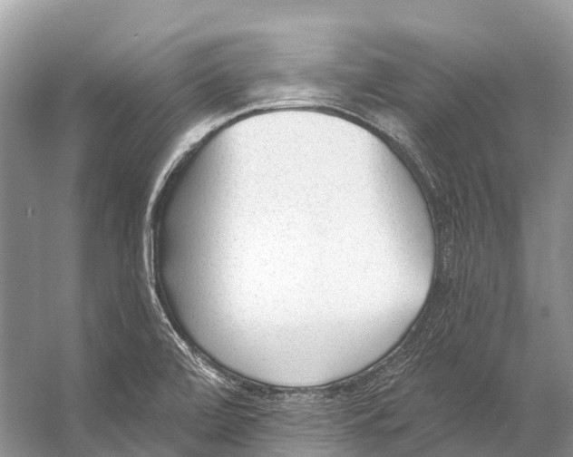X0000053161472200508081424
