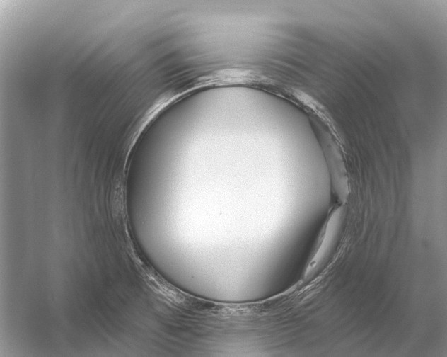 X0000053161473200508081424