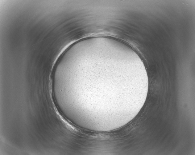 X0000053161476200508081424