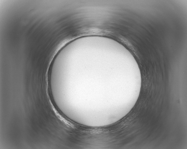 X0000053161479200508081424