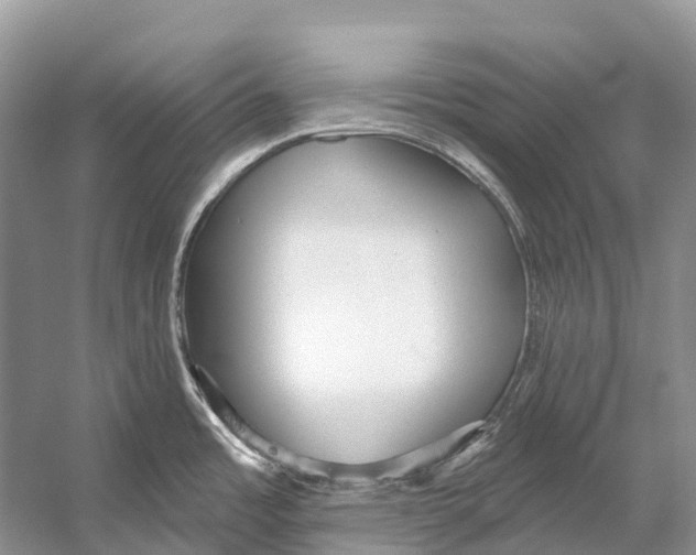 X0000053161485200508081423