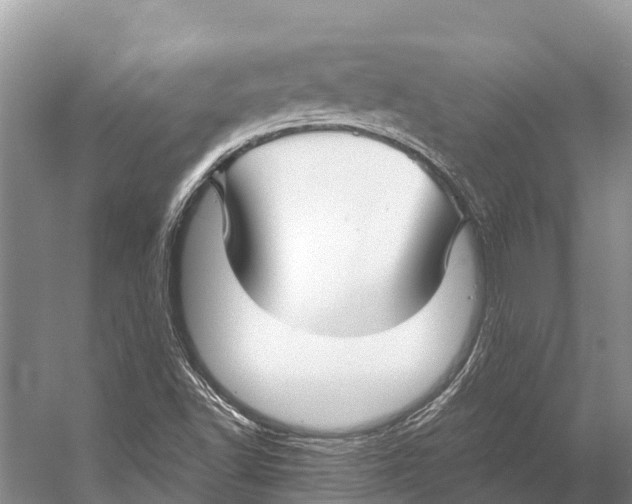 X0000053161502200508081423