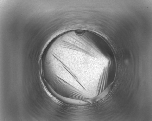 X0000053161515200508081423
