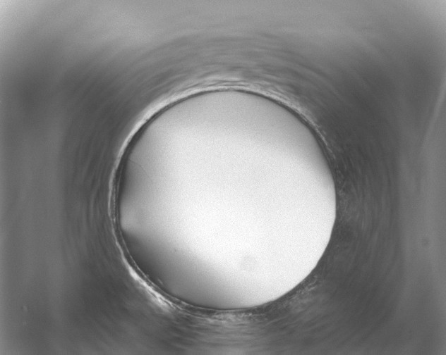 X0000053161527200508081423