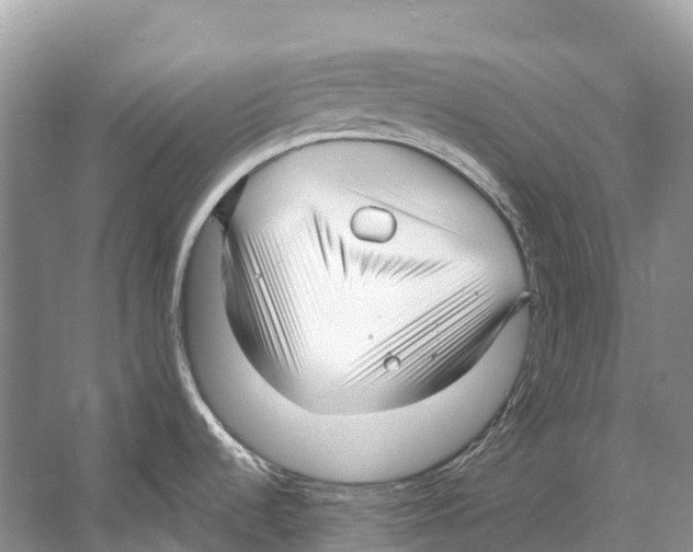 X0000053161536200508081423