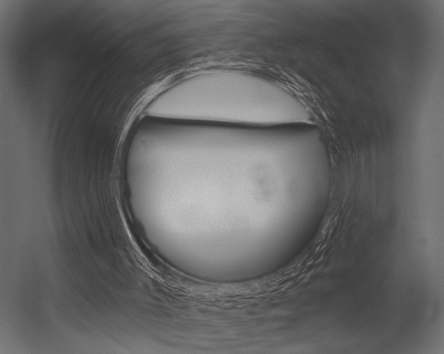 X0000054360003200507290817