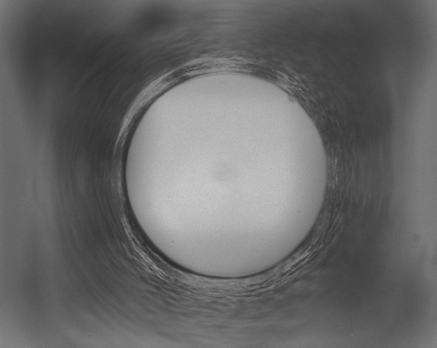 X0000054360004200507290817